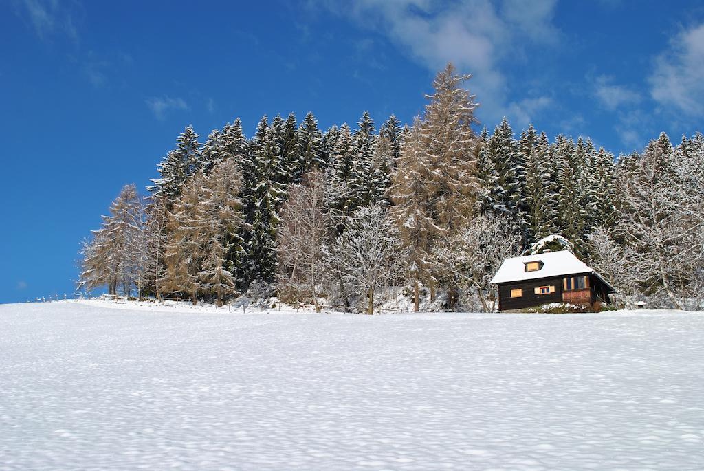 Villa Schlintl-Hof Liebenfels Zimmer foto